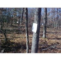 43198 MI Lake County