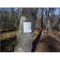 43199 MI Lake County