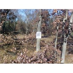 43200 MI Lake County