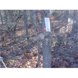 43201 MI Lake County