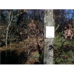 43202 MI Lake County