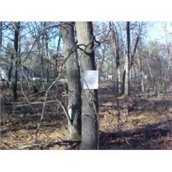 43203 MI Lake County