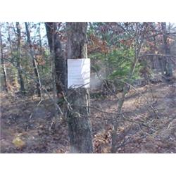 43205 MI Lake County