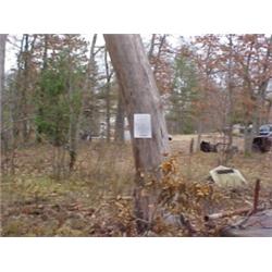 43206 MI Lake County 00103 E BENJAMIN