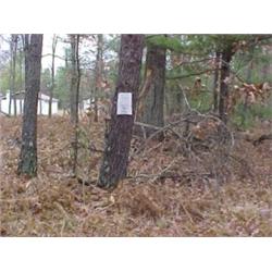 43207 MI Lake County