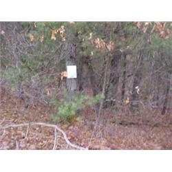 43209 MI Lake County