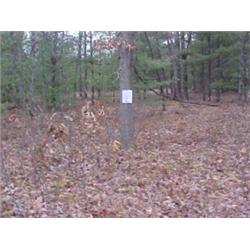 43210 MI Lake County