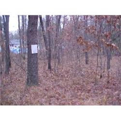 43212 MI Lake County