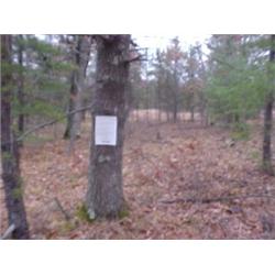 43213 MI Lake County