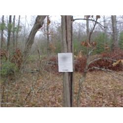 43214 MI Lake County