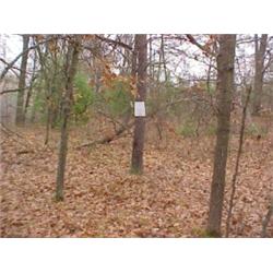 43216 MI Lake County