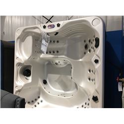 CAL SPA HOT TUB, HARMONY SERIES, CAMEO ACRY 100X100 MIST BASE, 3 PILLOWS INFINITY, 85 HALO