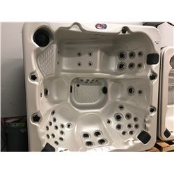 CAL SPA HOT TUB, AMERICAN LUXURY SERIES, CAMEO ACRY 90X90, 3 CONTOUR PILLOWS, 56 HALO STAINLESS