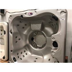 CAL SPA HOT TUB, AMERICAN FREEDOM SERIES, SILK ACRY 100X100, 3 PILLOWS INFINITY, 40 JETS