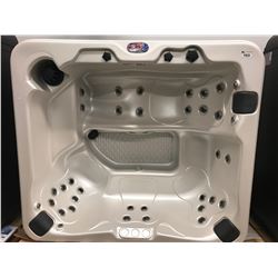 CAL SPA HOT TUB, AMERICAN LUXURY SERIES, CAMEO ACRY 90X90, 3 CONTOUR PILLOWS, 37 HALO STAINLESS