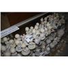 Image 2 : LARGE SHELF LOT OF ASSORTED ENESCO PRECIOUS MOMENTS COLLECTABLE FIGURINES