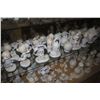 Image 2 : LARGE SHELF LOT OF ASSORTED ENESCO PRECIOUS MOMENTS COLLECTABLE FIGURINES