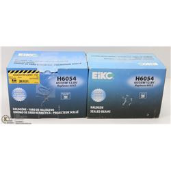 PAIR OF HALOGEN SEALED BEAM LIGHTS