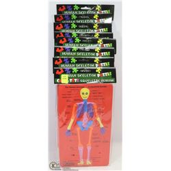 LOT OF 8 HUMAN SKELETON PUZZLES