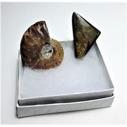 16)  NATURAL AMMONITE FOSSIL SPECIMEN