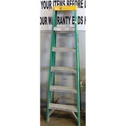 6FT DAVIDSON FIBERGLASS STEP LADDER