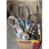 Image 1 : LOT OF DAYCO AUTOMOTIVE BELTS