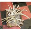 Image 1 : LARGE BOX WITH ANTLER SHEDS APPROX 20LBS