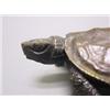 Image 3 : Japanese Bronze Turtle Meiji Period