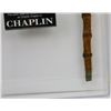 Image 6 : Chaplin (1992) Robert Downey Jr.'s Hero Prop Cane