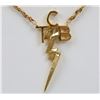 Image 2 : Elvis Presley 14K TCB Necklace Given to Bodyguard