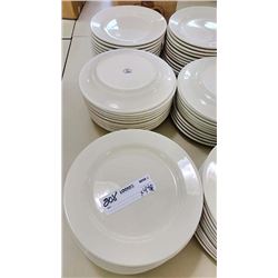 Homer Laughlin Dinner Plates