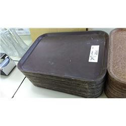 Fiberglass Trays