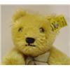 Image 2 : VINTAGE STEIFF JOINTED BEAR