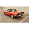 Image 2 : 1984 Alfa Romeo Sypder  FUEL Injected