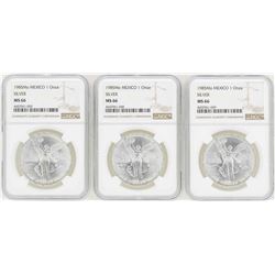 Lot of (3) 1985Mo 1 Onza Silver Libertad Coins NGC MS66