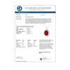 Image 2 : 8.25 CTW Ruby & Diamond Pendant 14K Yellow Gold - REF-131M8H - 12892