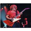 Image 1 : Sammy Hagar