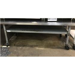 Equipment Stand -Stainless Steel 5ft (Pick-up from Mililani)