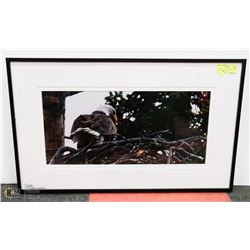 30X19 EAGLE CLOSE UP FRAMED PHOTOGRAPHY PRINT