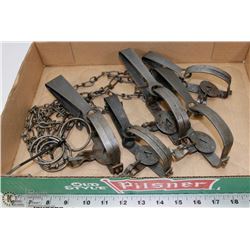 LOT OF 5 ONEIDA VICTOR ANIMAL TRAPS.