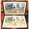 Image 1 : N. ENGLE AWS SET OF 2 FRAMED ART WORKS