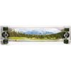Image 1 : WEST 49 LONGBOARD.