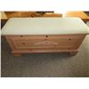 Image 1 : Lane Ceder Lined Chest / 43 x 16 x 20 / with upolstered seat cushion
