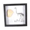 Image 7 : Elephant Bird Eggshell Ancient Fossil