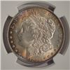 Image 3 : 1883 $1 Morgan Silver Dollar Coin NGC MS64
