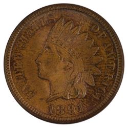 1891 Indian Cent Coin