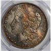 Image 2 : 1884-O MORGAN DOLLAR PCGS MS64