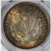 Image 3 : 1884-O MORGAN DOLLAR PCGS MS64