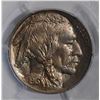 Image 2 : 1913 BUFFALO NICKEL TYPE-1 PCGS MS-65