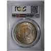 Image 4 : 1881 MORGAN SILVER DOLLAR PCGS MS-64